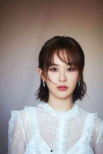 杨紫爆料知乎新闻视频,独家爆料新闻视频背后的故事